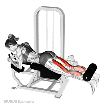 Glúteo Máquina/Polia